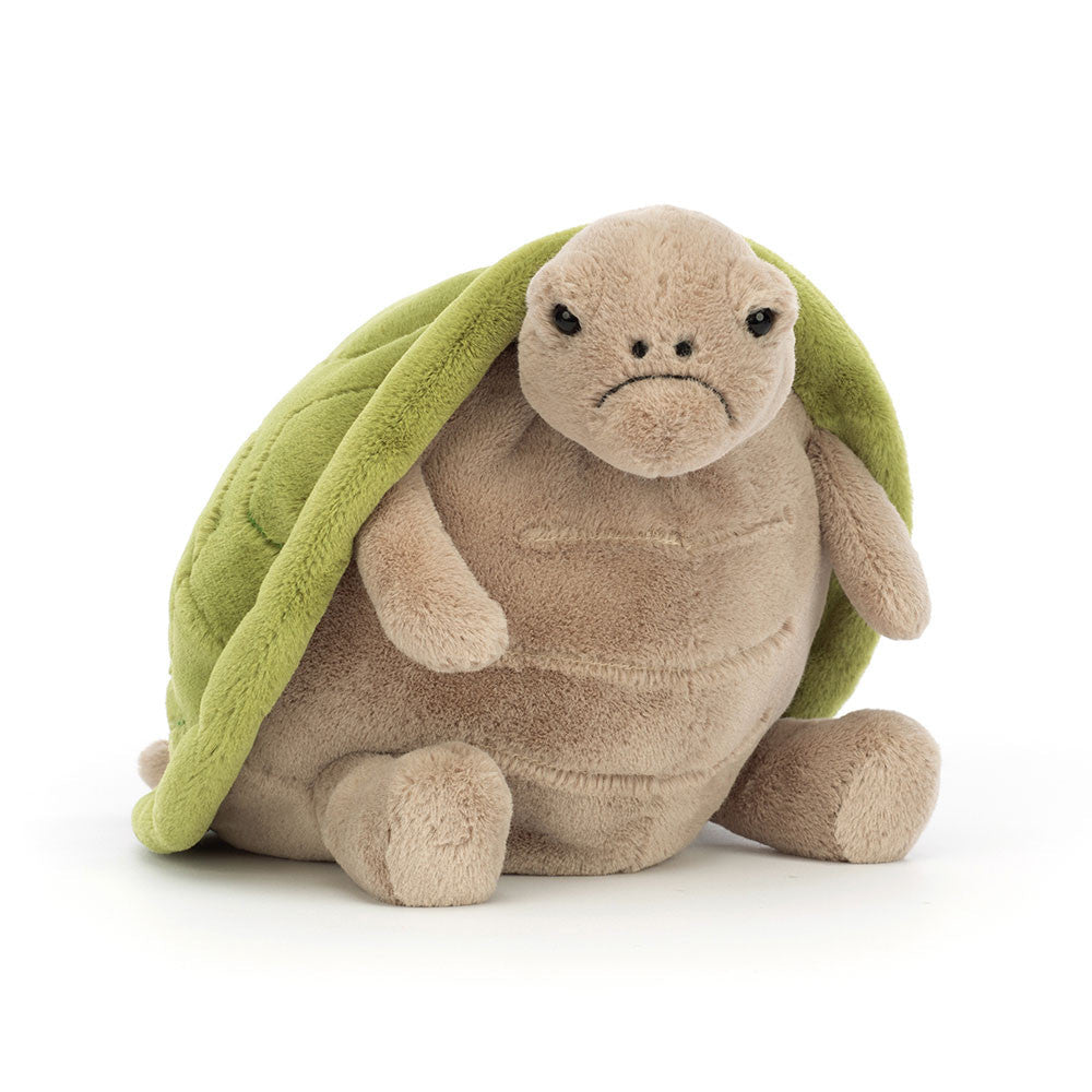 An ultra-soft chubby green turtle plush toy sitting down with a hilarious grumpy and sad facial expression.