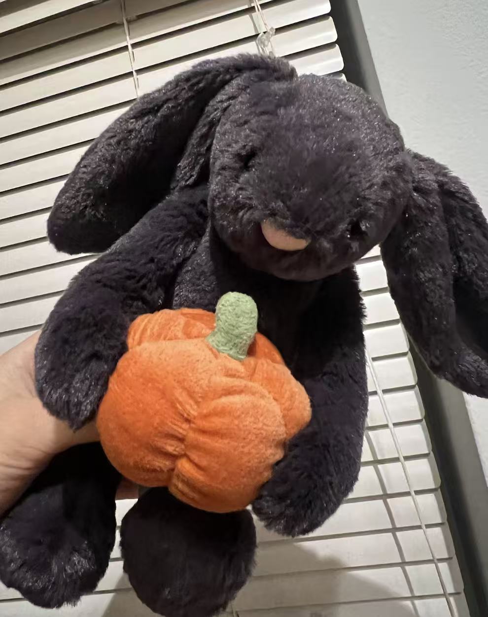 Jellycat Bashful Pumpkin Bunny 15CM - product image 6